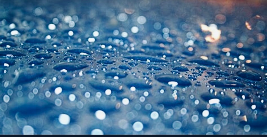 Winter Storm Warnings