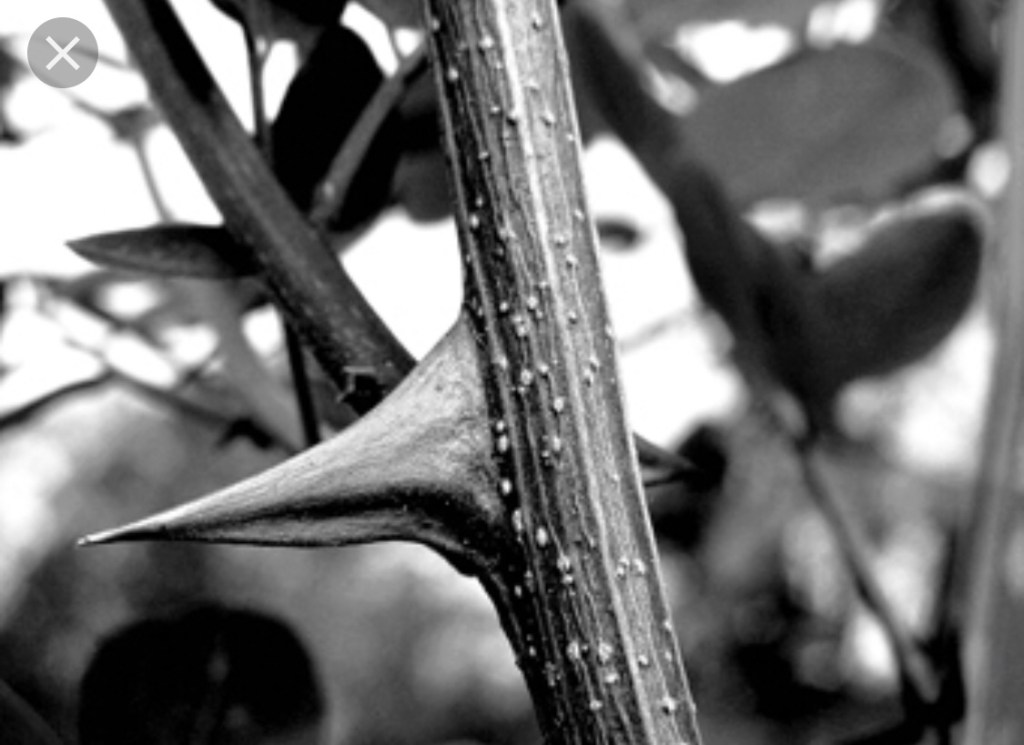 What is Love&nbsp;Anyway?