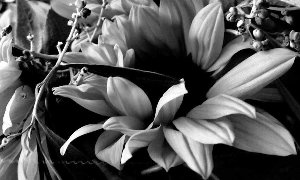 A Lifetime.  It Seems&nbsp;So