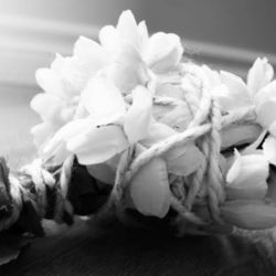 The Burden is&nbsp;Hers