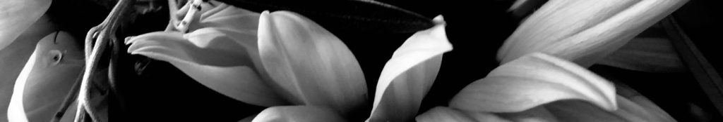 New Quarterly Session