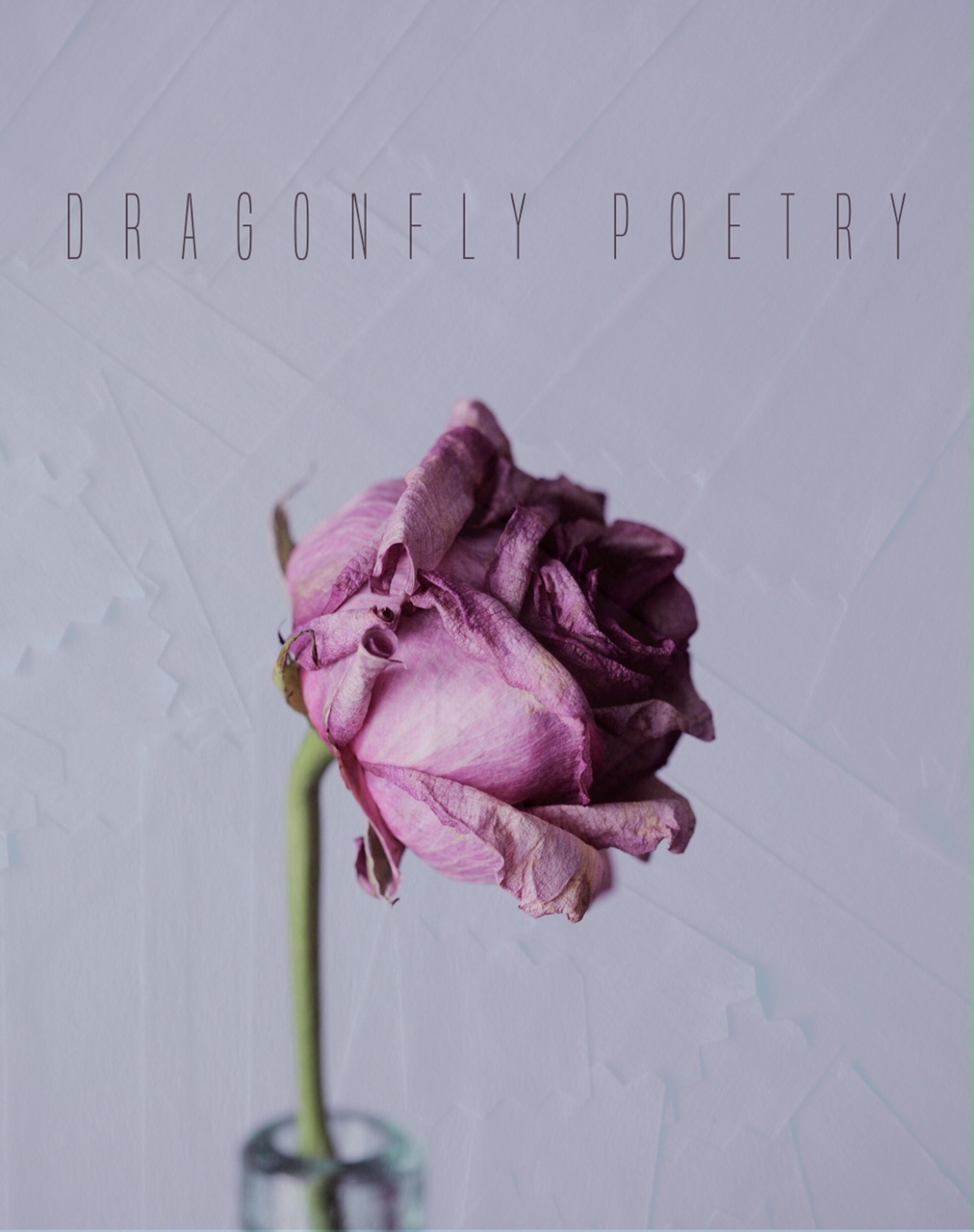 One in A&nbsp;Hundred