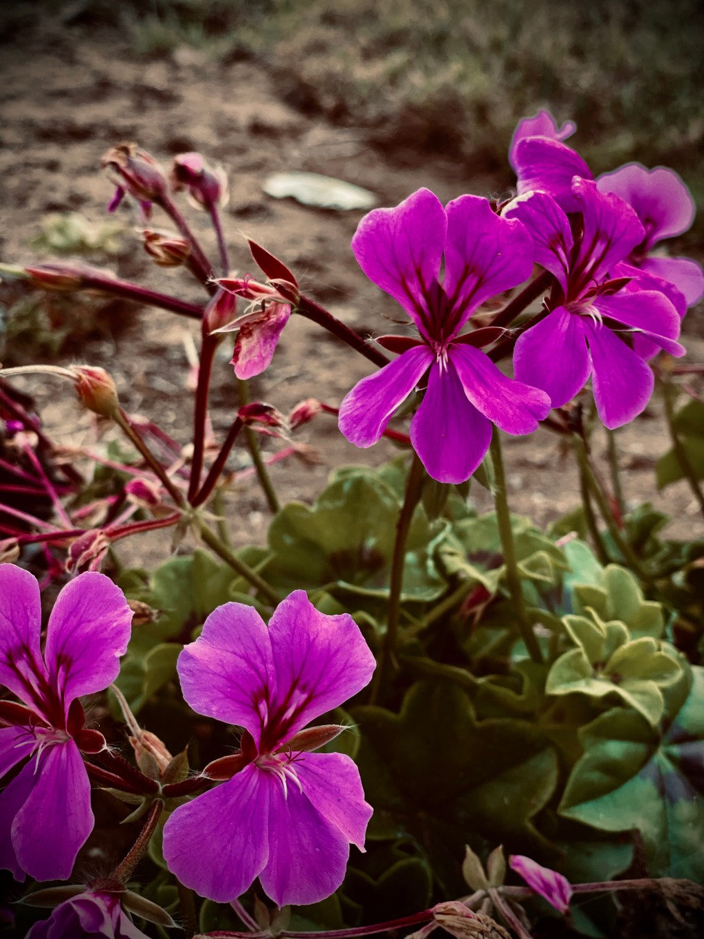 I Hope Today Never&nbsp;Comes